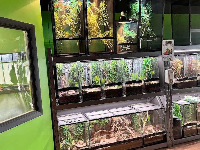 Zoo-Tropic Exotics Picture 6