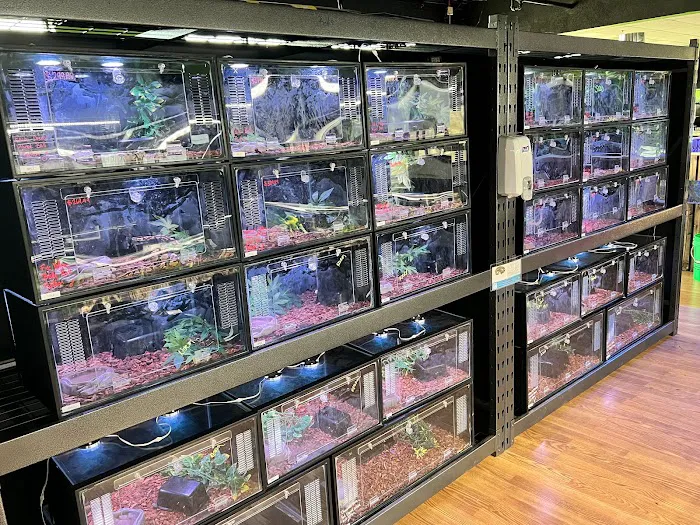 Zoo-Tropic Exotics Picture 10