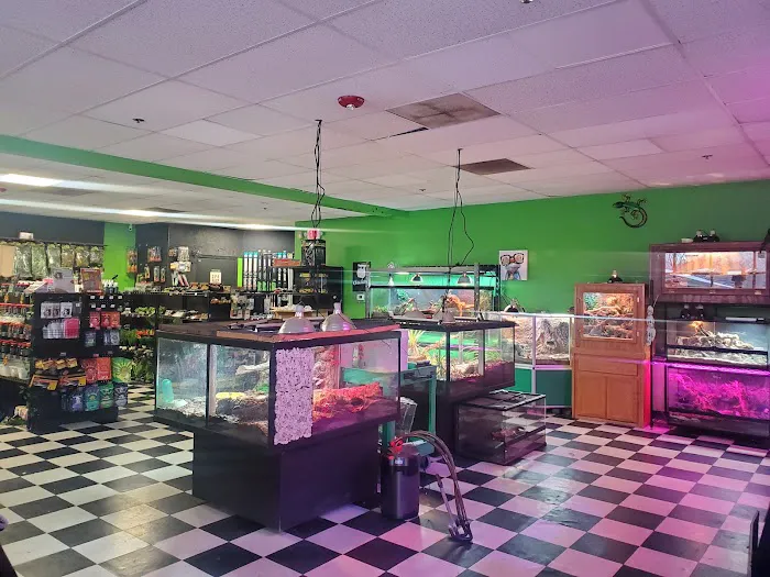 Zoo-Tropic Exotics Picture 2