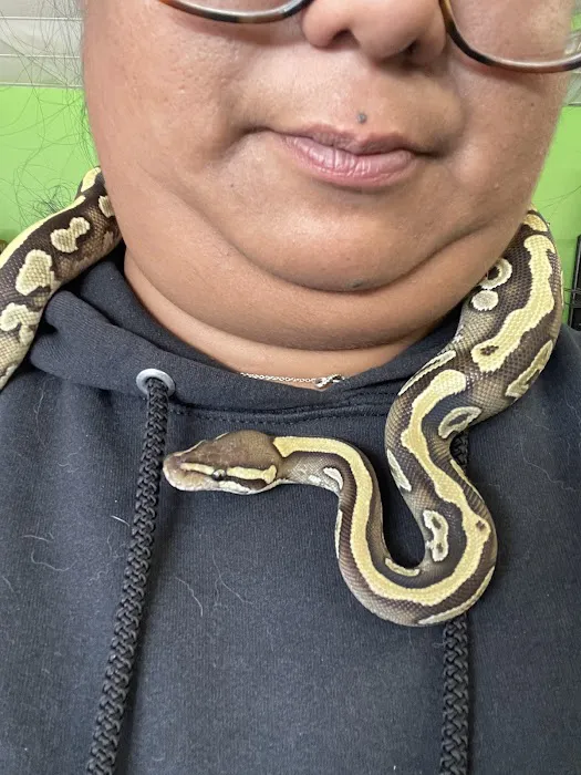 Zoo-Tropic Exotics Picture 8