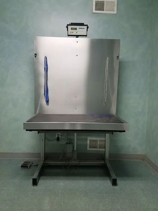 Werner Animal Hospital Picture 8
