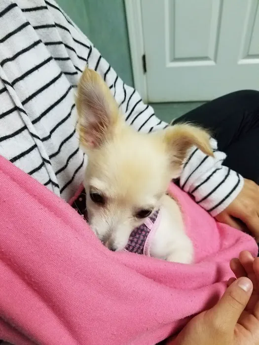 Werner Animal Hospital Picture 10