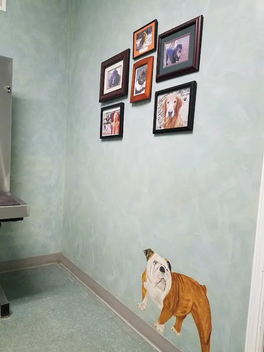 Werner Animal Hospital Picture 7