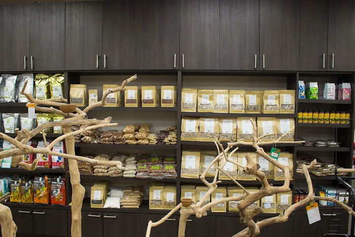 Parrot Stars Picture 3