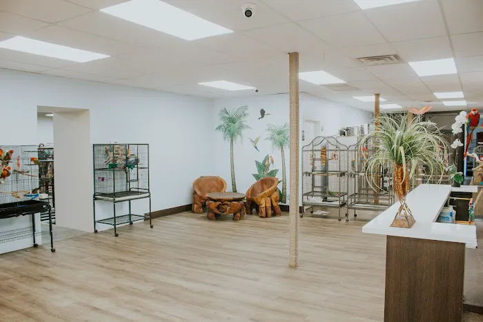 Parrot Stars Picture 8