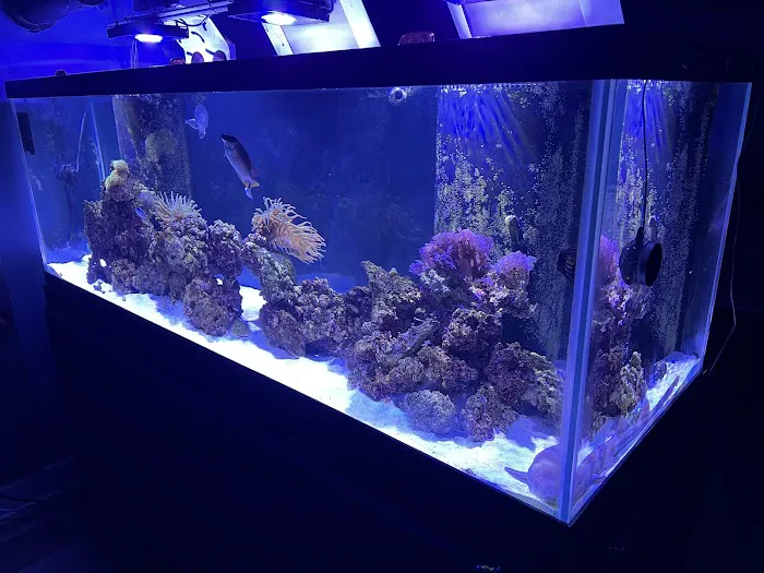 650 Oceans Reef Inc Picture 3