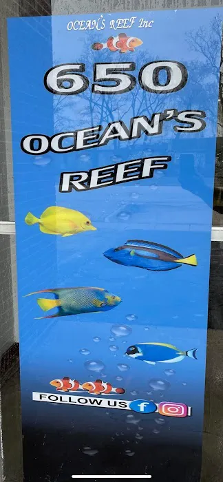 650 Oceans Reef Inc Picture 1