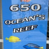 650 Oceans Reef Inc ico