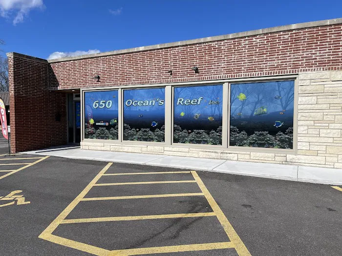 650 Oceans Reef Inc Picture 9