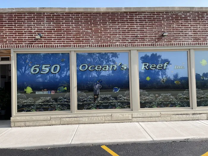 650 Oceans Reef Inc Picture 10