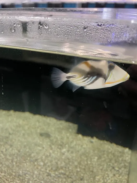 650 Oceans Reef Inc Picture 8