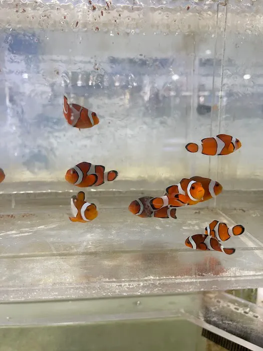 650 Oceans Reef Inc Picture 5