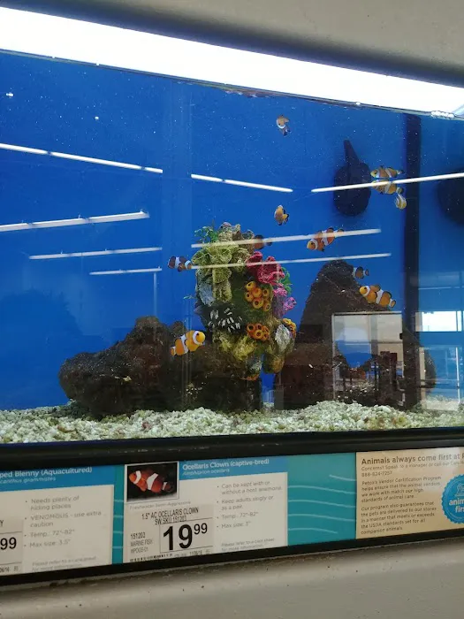 Petco Picture 10