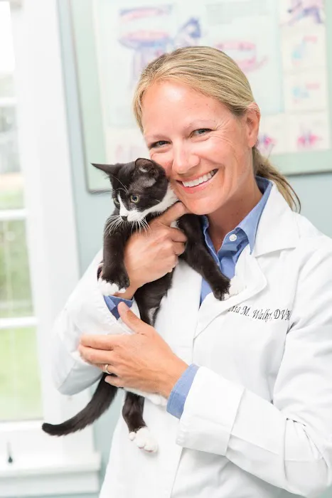 Newport Animal Clinic Picture 4