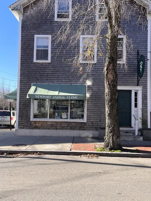 Newport Animal Clinic Picture 3