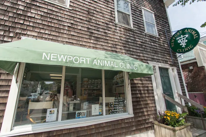 Newport Animal Clinic Picture 5