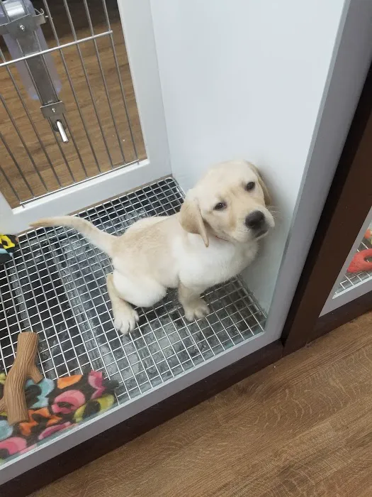 Petland Batavia Picture 2