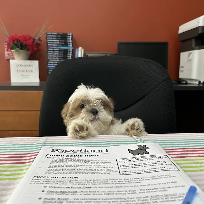 Petland Batavia Picture 10