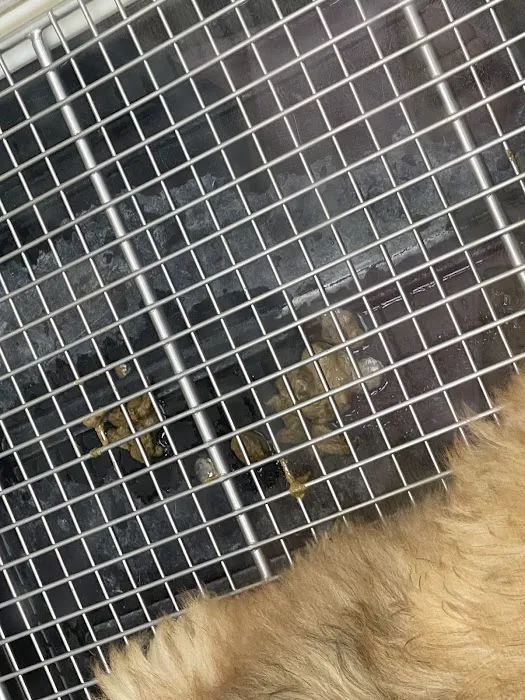 Petland Batavia Picture 9