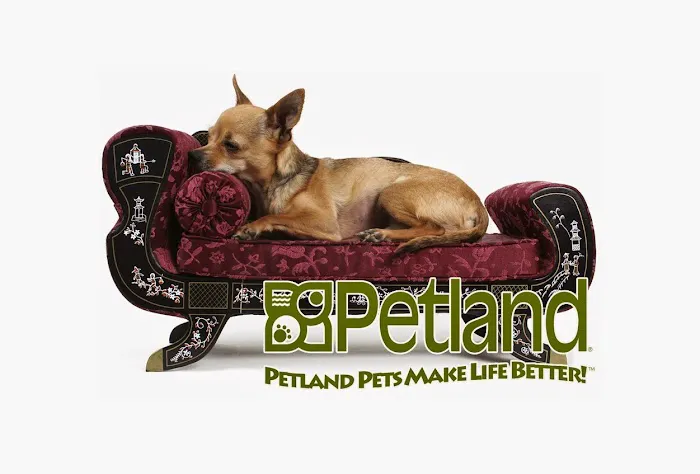 Petland Batavia Picture 8