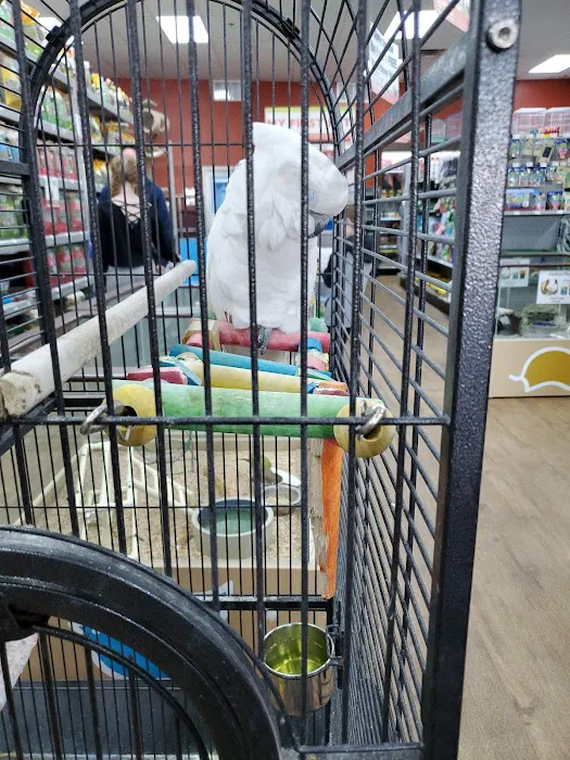 Petland Batavia Picture 4