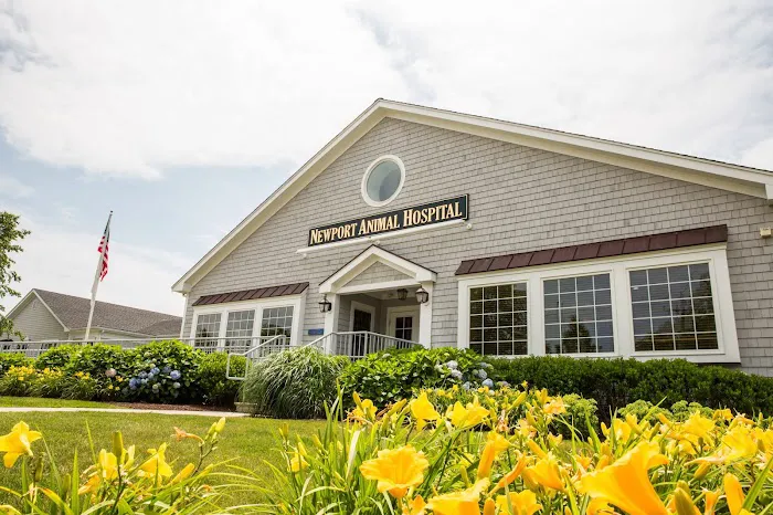 Newport Animal Hospital Picture 7