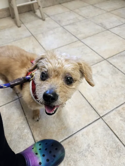 Newport Animal Hospital Picture 5