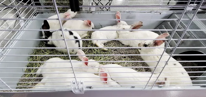 Scott Smith's All Animal Expo Picture 6