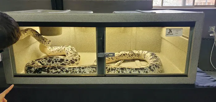 Scott Smith's All Animal Expo Picture 10