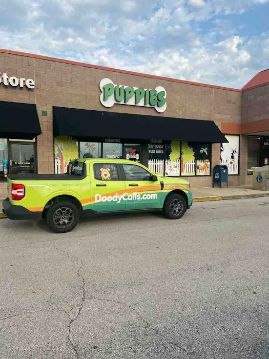 Perfect Pup Inc Picture 5