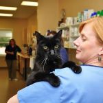 Portsmouth Veterinary Clinic