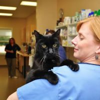 Portsmouth Veterinary Clinic ico