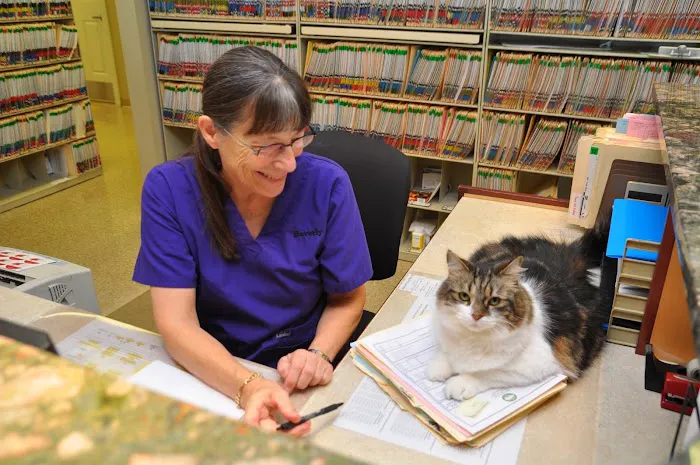 Portsmouth Veterinary Clinic Picture 2