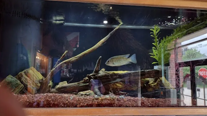 Sea Escapes Inc Picture 7