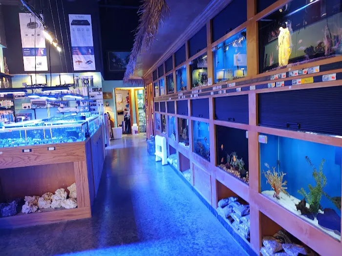 Sea Escapes Inc Picture 3