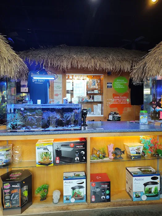 Sea Escapes Inc Picture 4