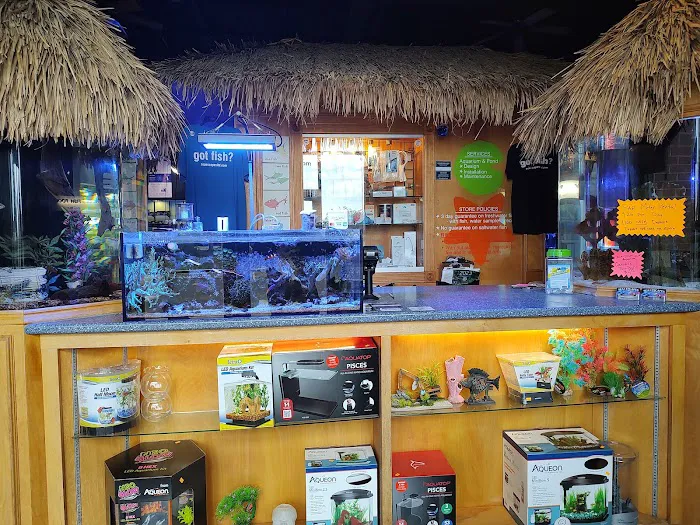 Sea Escapes Inc Picture 2