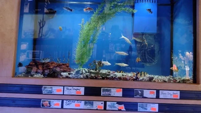 Sea Escapes Inc Picture 5