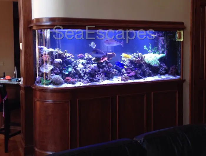 Sea Escapes Inc Picture 10