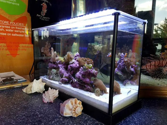 Sea Escapes Inc Picture 9