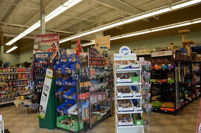 Critters Pet Shop Picture 6