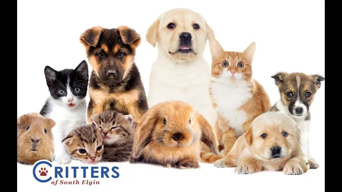 Critters Pet Shop Picture 2