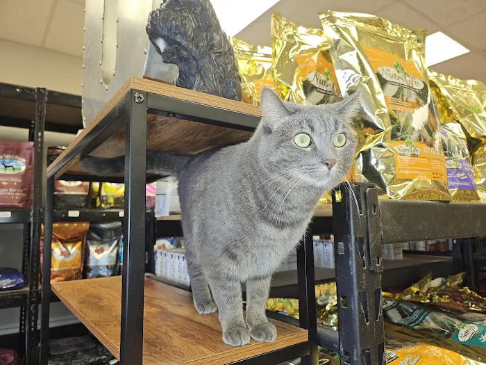 Critters Pet Shop Picture 9