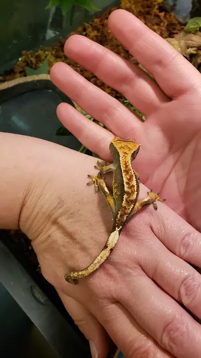 Critters Pet Shop Picture 3