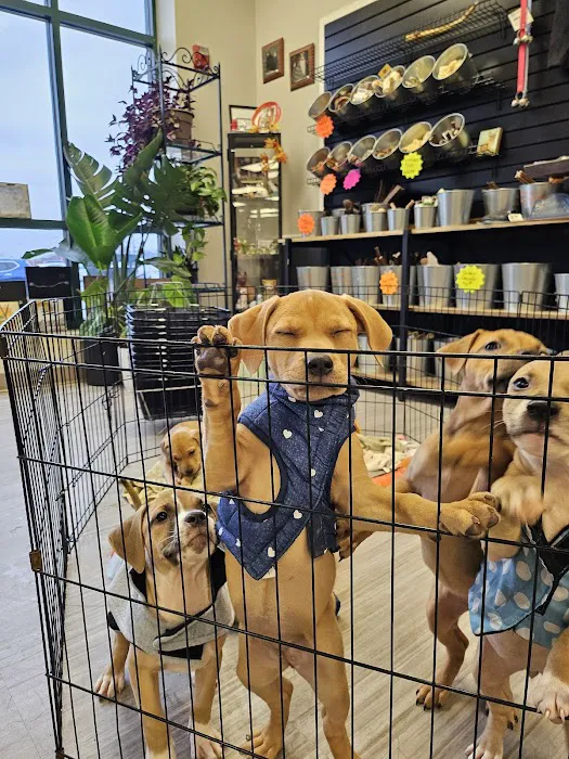 Critters Pet Shop Picture 7