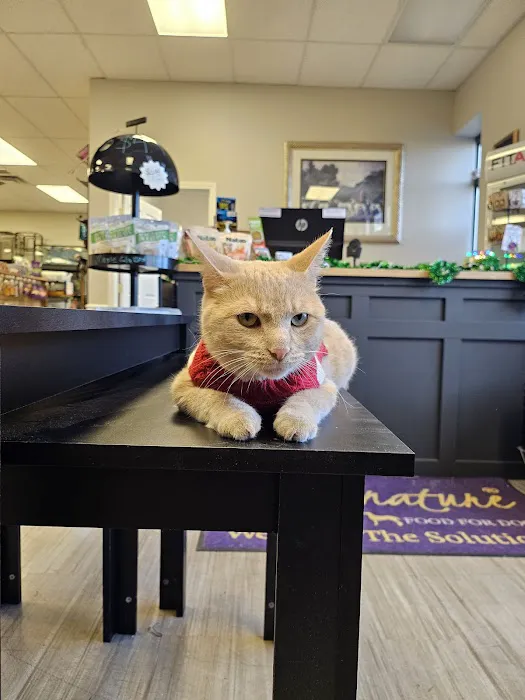 Critters Pet Shop Picture 1