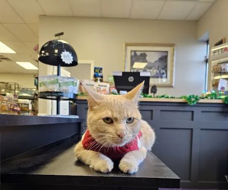 Critters Pet Shop