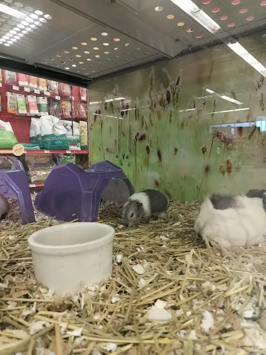 Petco Picture 9