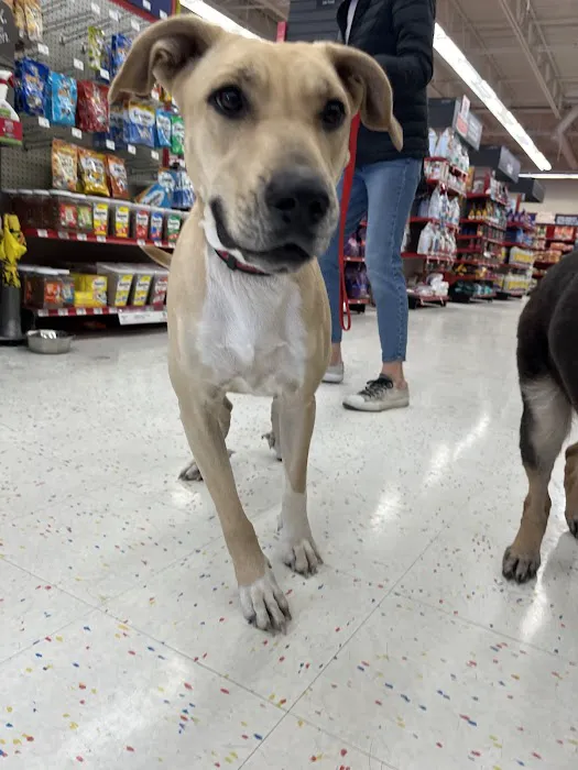 Petco Picture 7
