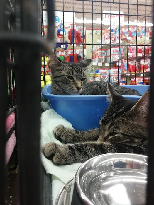 Petco Picture 10